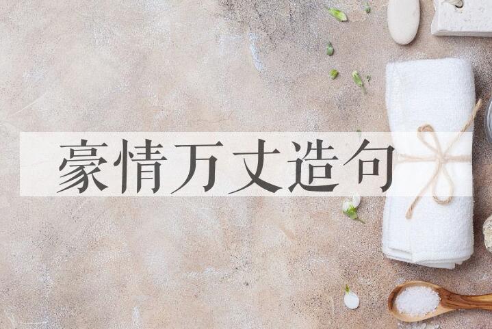 用豪情万丈造句