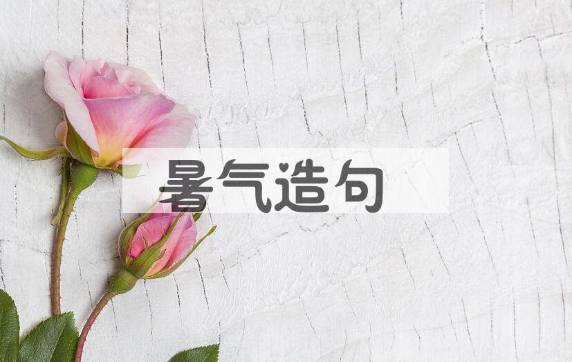 用暑气造句