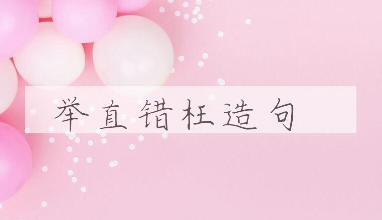 用举直错枉造句