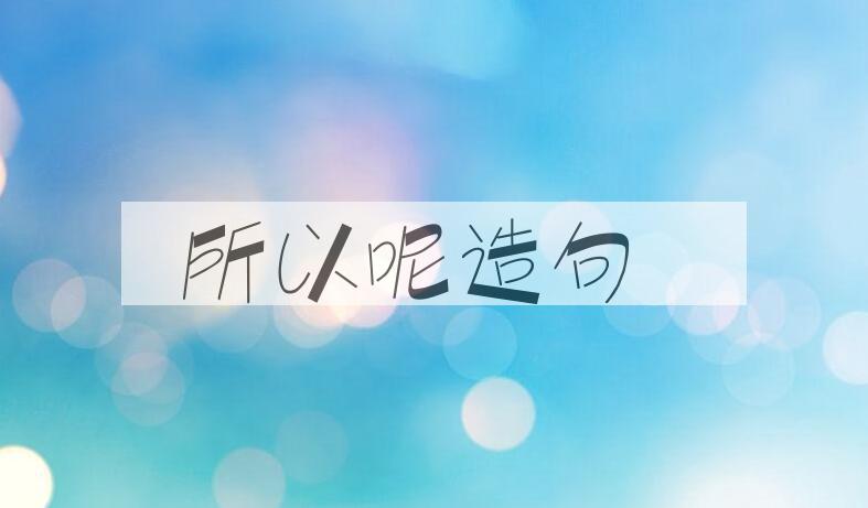 用所以呢造句