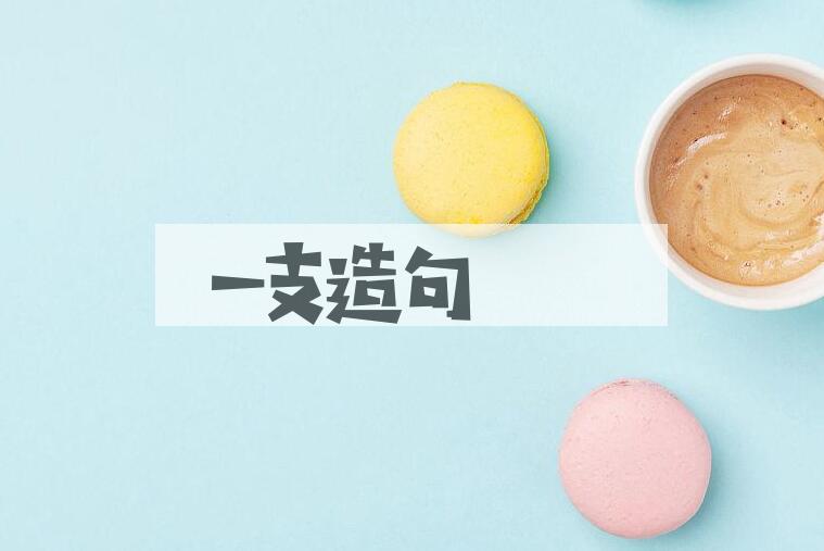 用一支造句