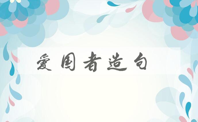 用爱国者造句