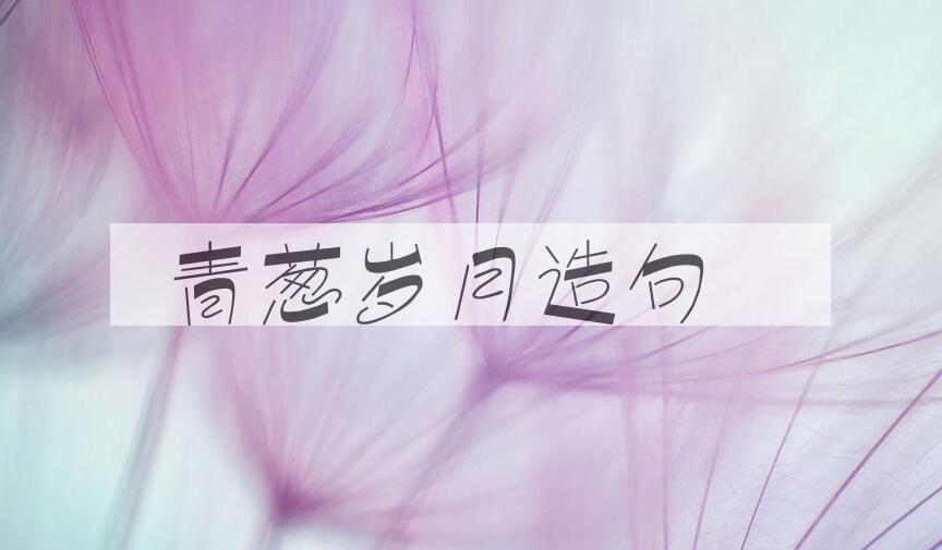 用青葱岁月造句
