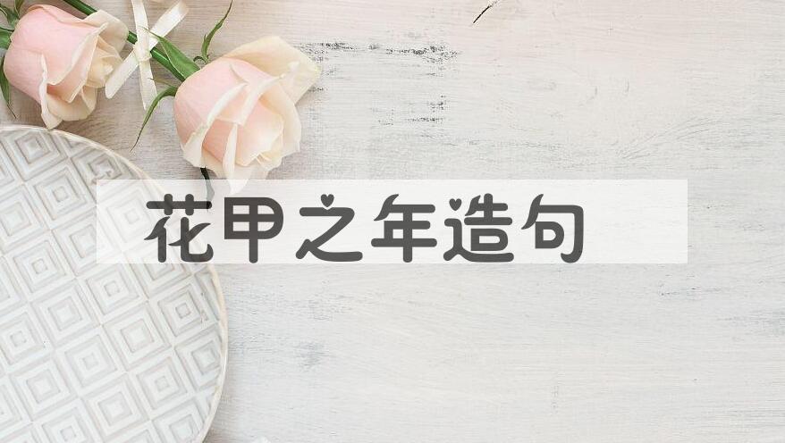 用花甲之年造句