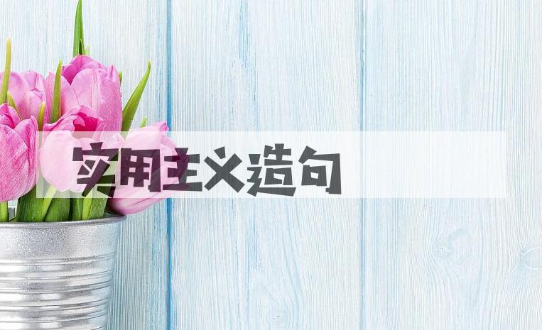 用实用主义造句