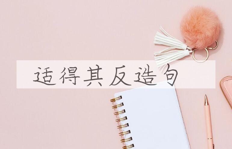 用适得其反造句