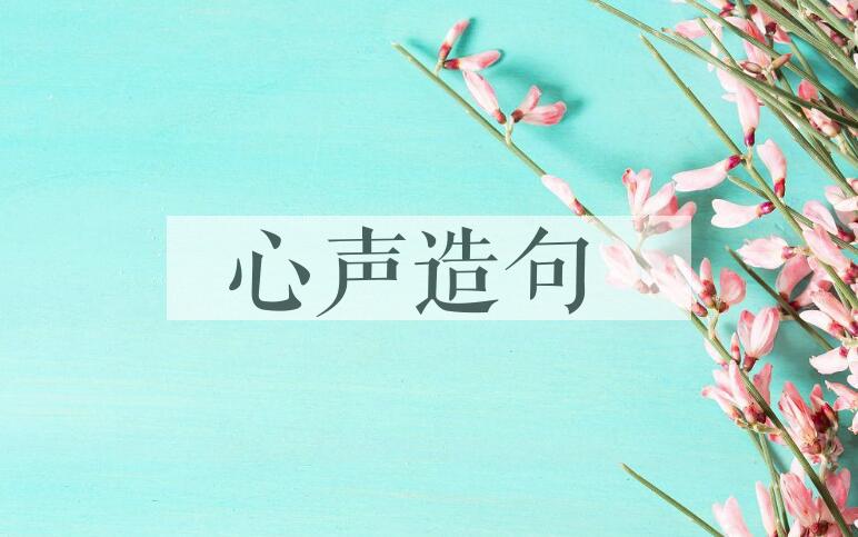 用心声造句