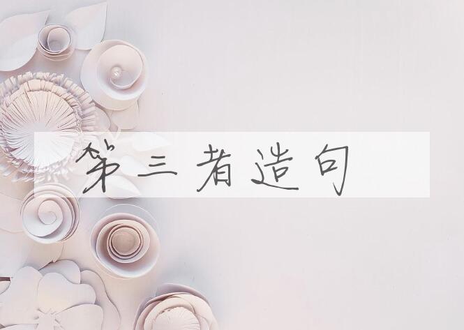 用第三者造句