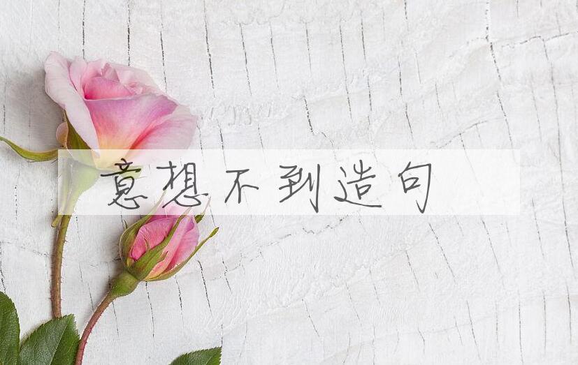 用意想不到造句