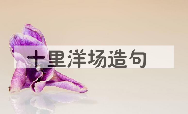 用十里洋场造句