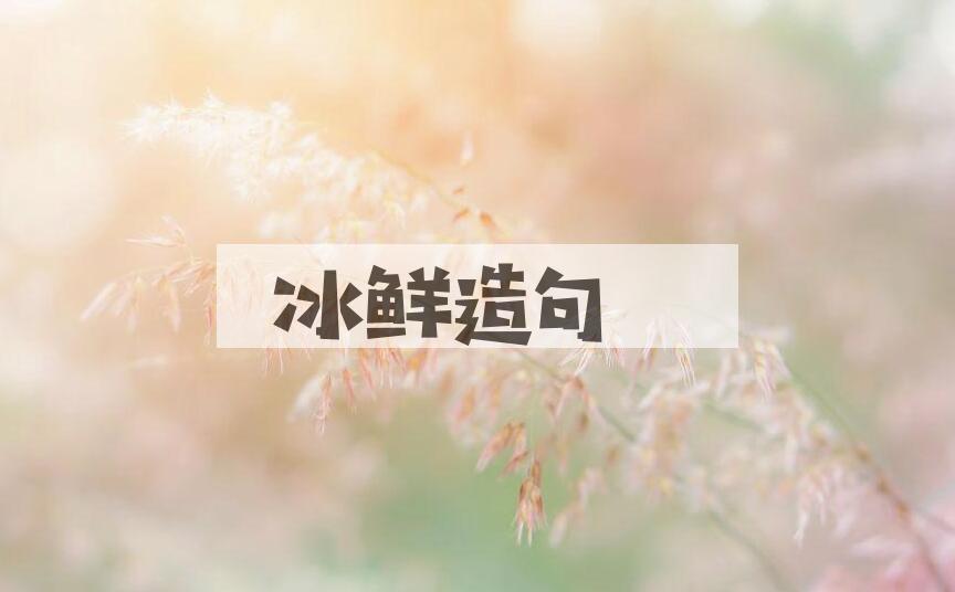 用冰鲜造句