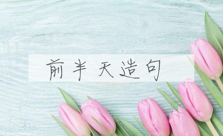 用前半天造句