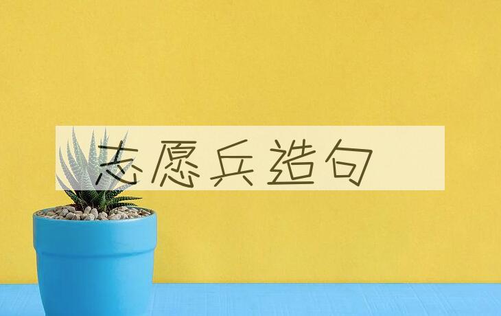 用志愿兵造句