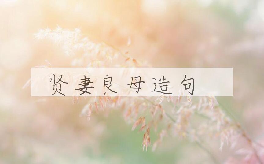 用贤妻良母造句