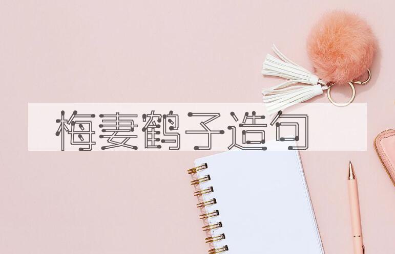 用梅妻鹤子造句