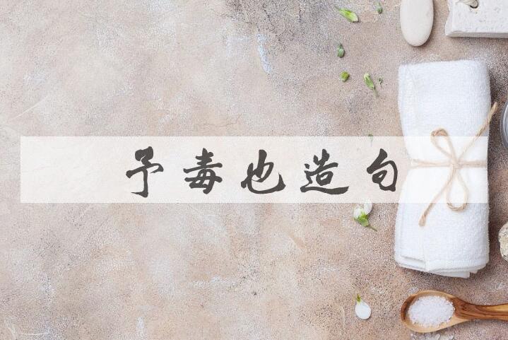 用莫予毒也造句