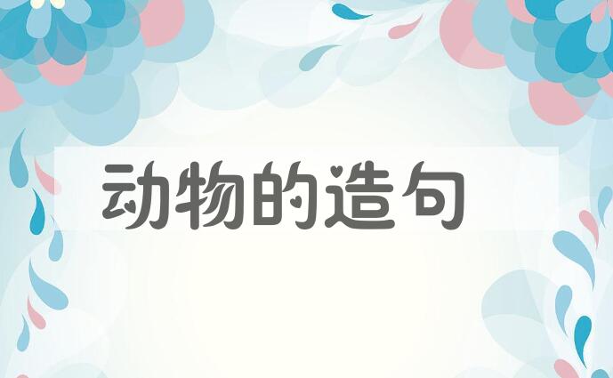 用动物的造句