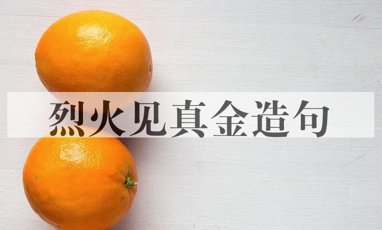 用烈火见真金造句