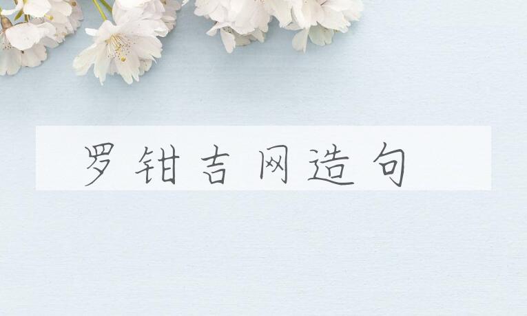 用罗钳吉网造句