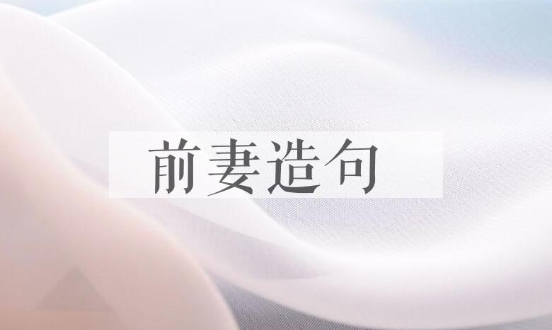 用前妻造句