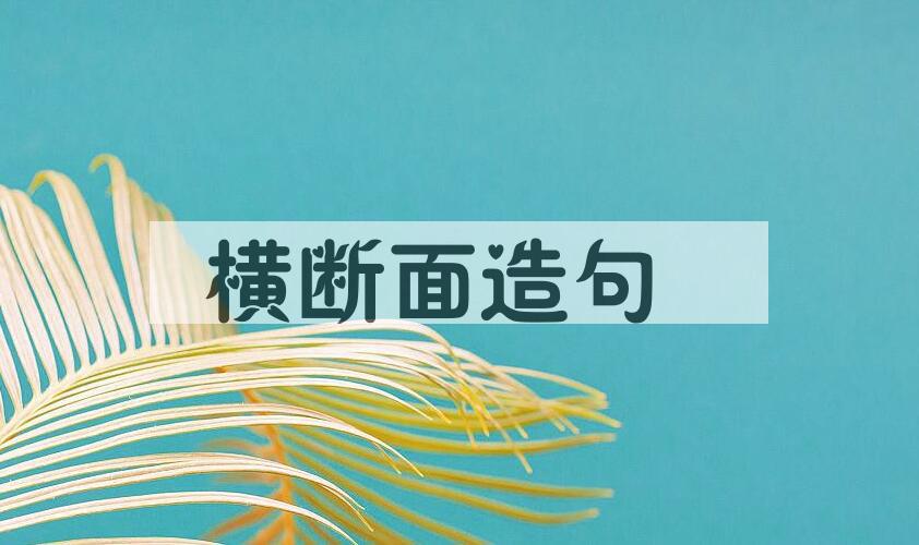用横断面造句