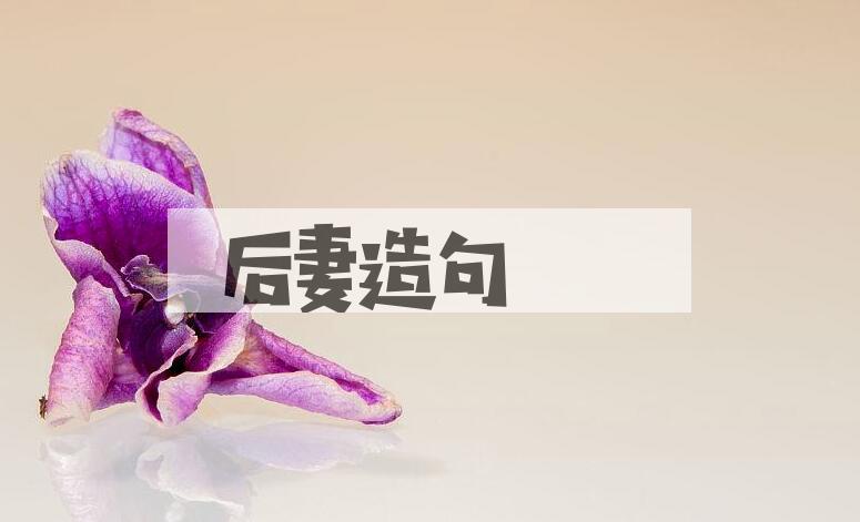 用后妻造句
