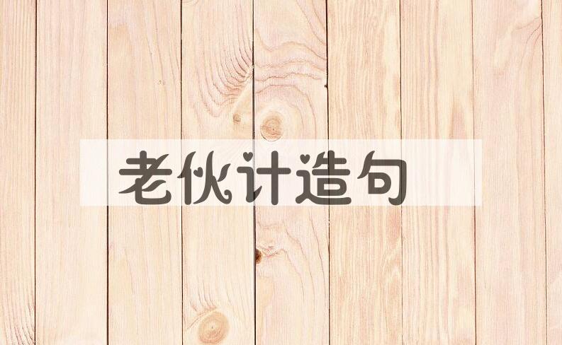 用老伙计造句