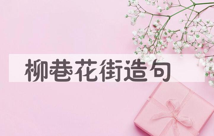 用柳巷花街造句