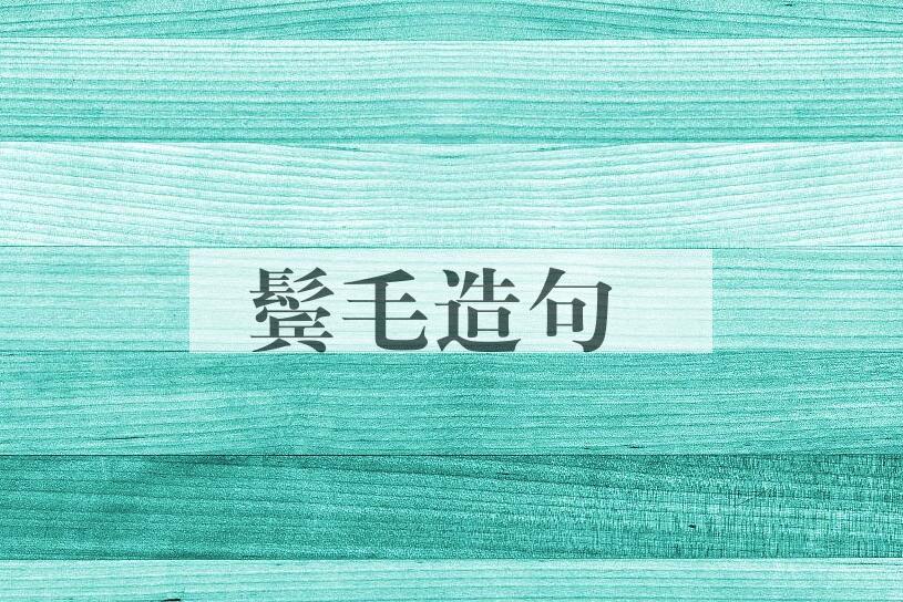 用鬓毛造句