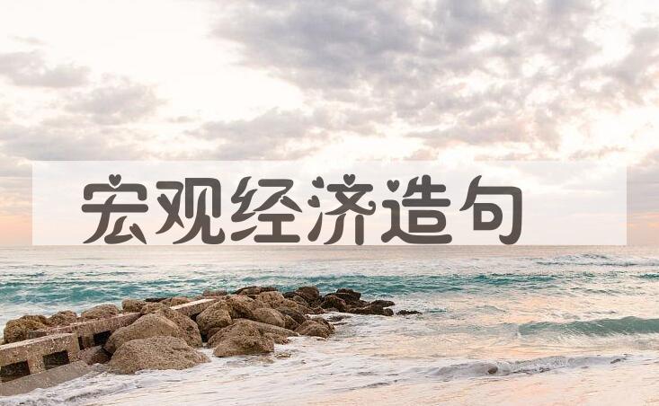 用宏观经济造句