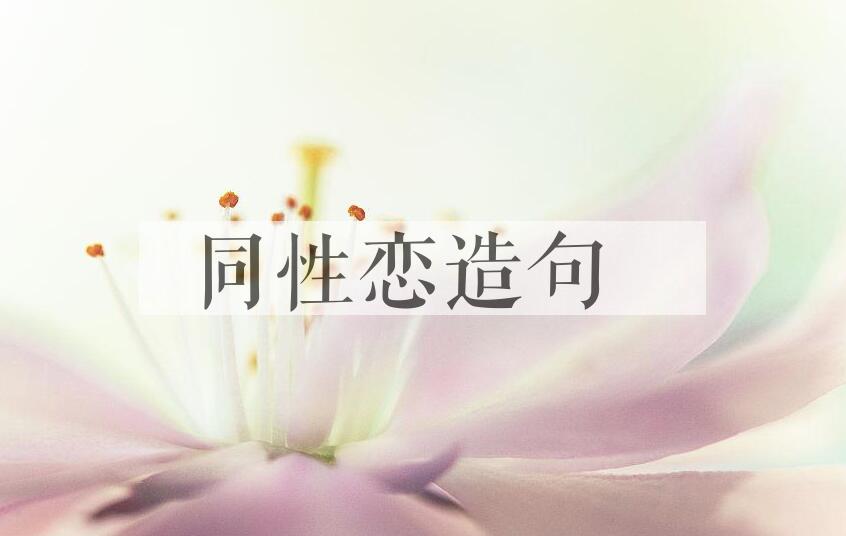 用同性恋造句