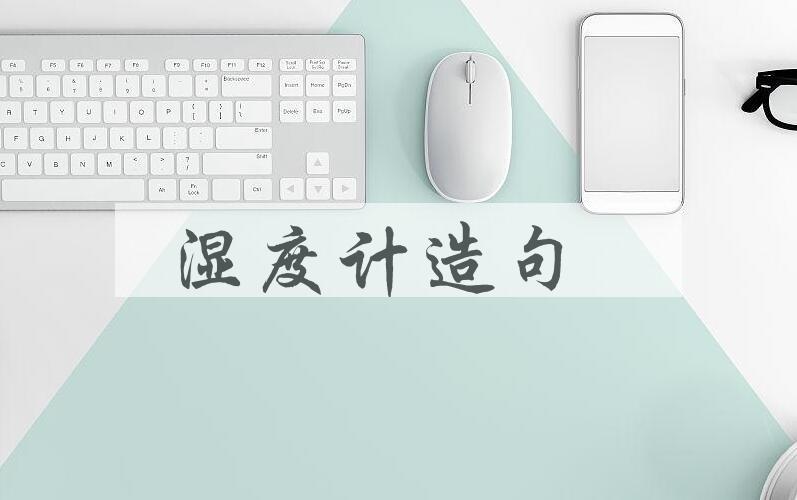 用湿度计造句
