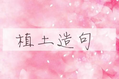 用植土造句