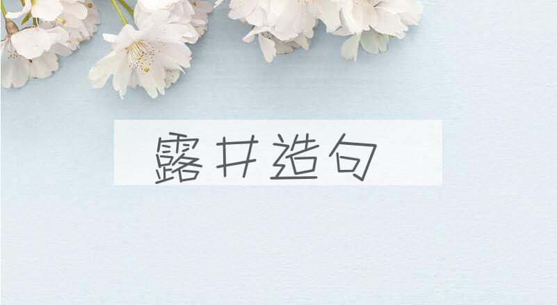 用露井造句