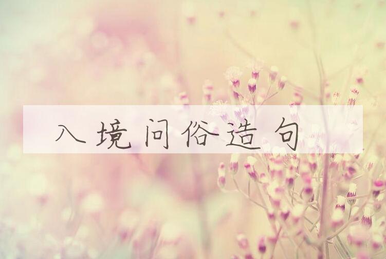 用入境问俗造句