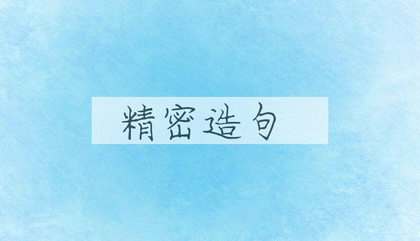 用精密造句