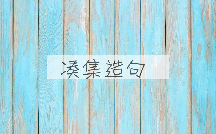 用凑集造句