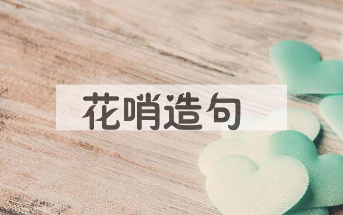 用花哨造句