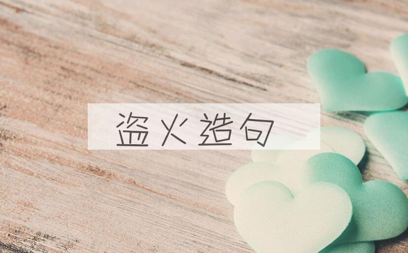 用盗火造句