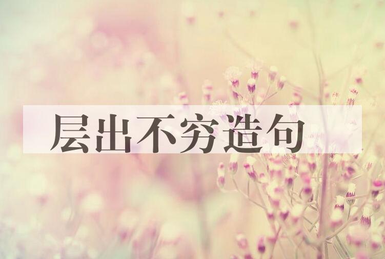 用层出不穷造句