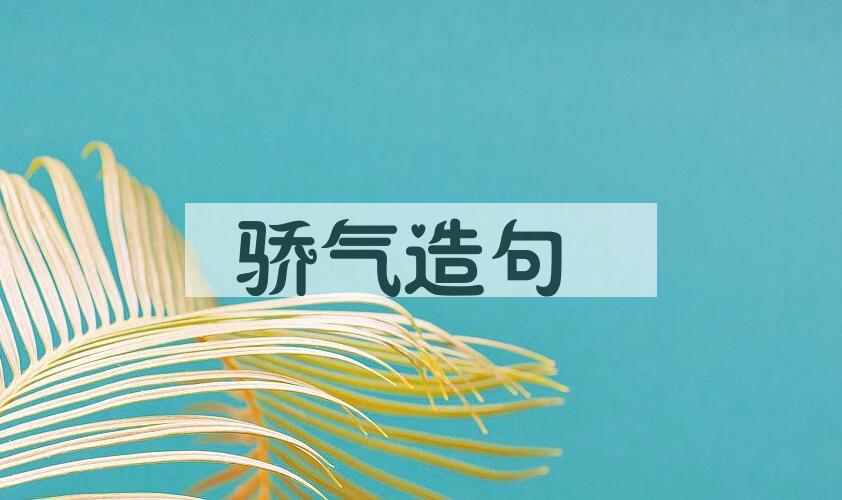 用骄气造句