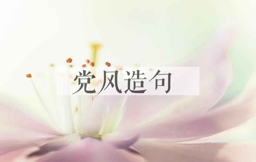 用党风造句