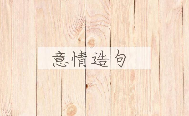 用意情造句