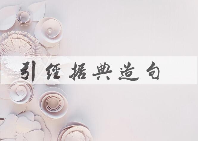 用引经据典造句