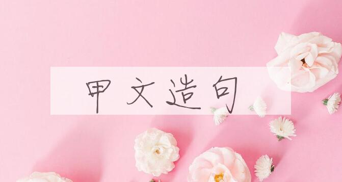 用甲文造句