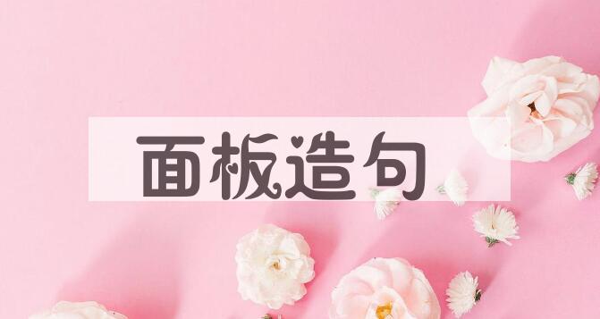 用面板造句