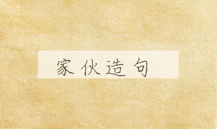 用家伙造句