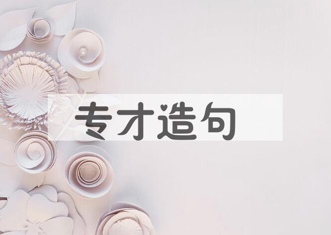 用专才造句