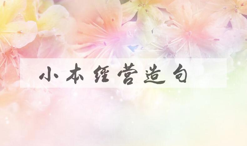 用小本经营造句