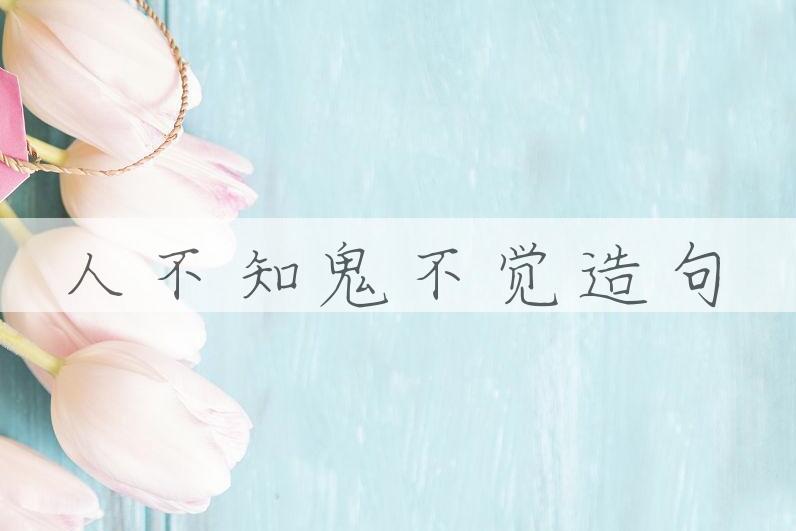 用人不知鬼不觉造句
